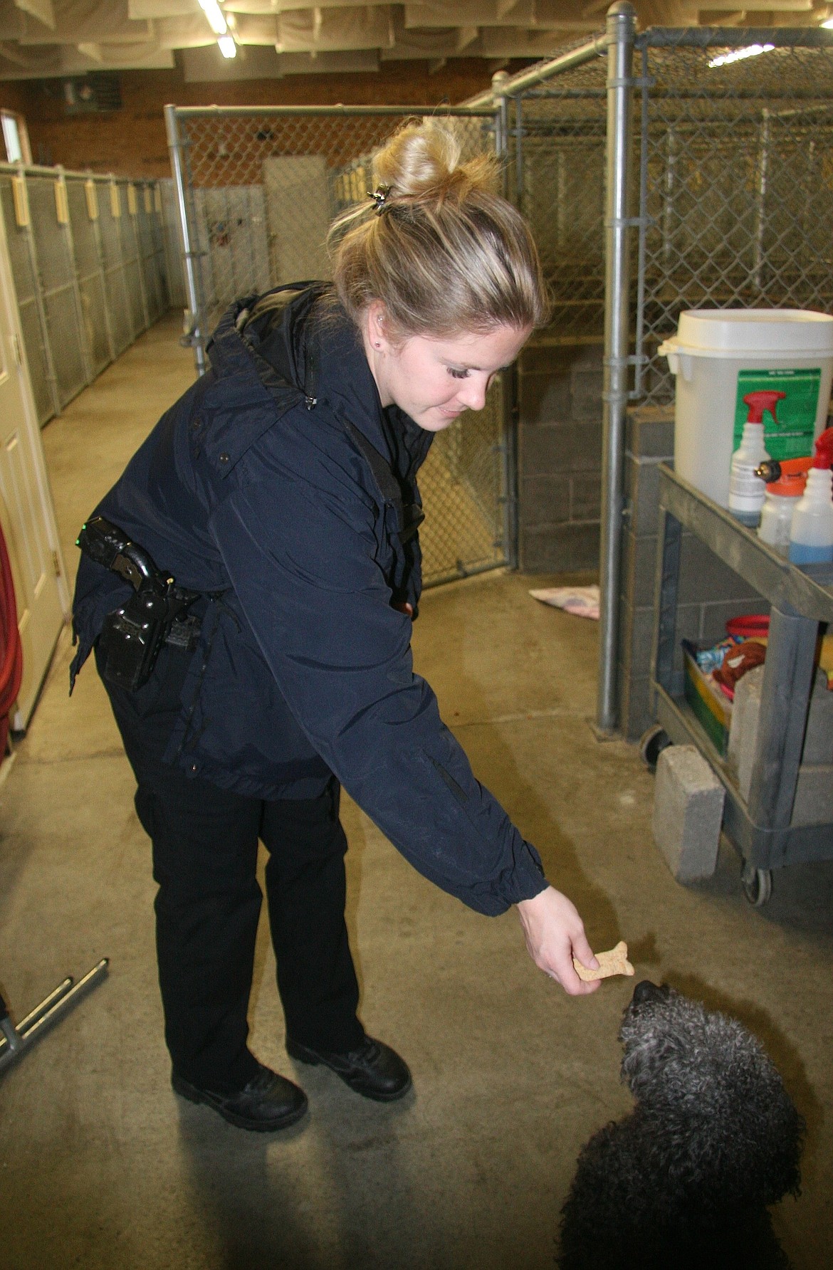 Post Falls Police Animal Shelter Manager Sheri Benner treats a dog at the agency&#146;s dog shelter on Thursday. PFPD is planning to build a new shelter next to its police station on Polston Avenue that&#146;s expected to be completed in the spring. (BRIAN WALKER/Press)