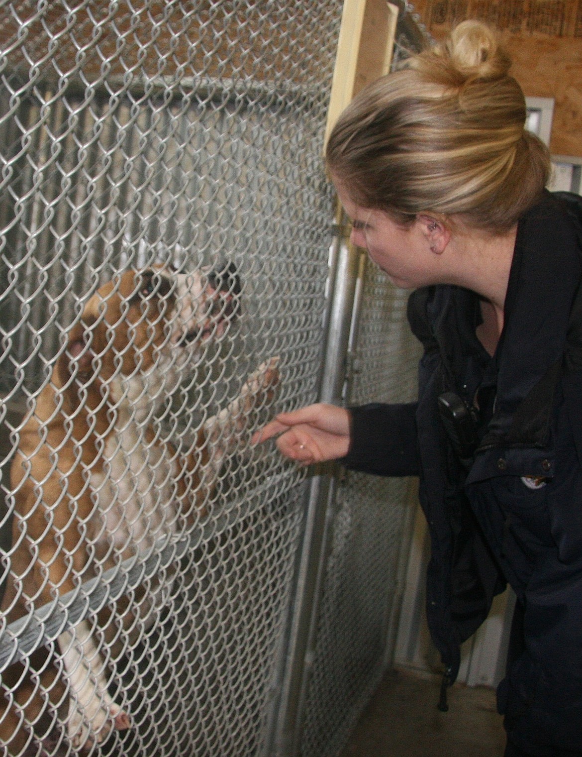 BRIAN WALKER/Press 
Post Falls Police Animal Shelter Manager Sheri Benner acknowledges a dog at PFPD&#146;s dog shelter on Thursday. A new shelter that will be built next to the police station will include more office space, an intake area and offer one-stop convenience.