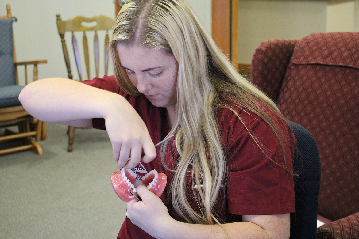 St. Regis student McKenzie Stortz removes rubber bands from a set of teeth as part of the Orthodontics presentation during REACH at the hospital last week. (Kathleen Woodford/Mineral Independent).