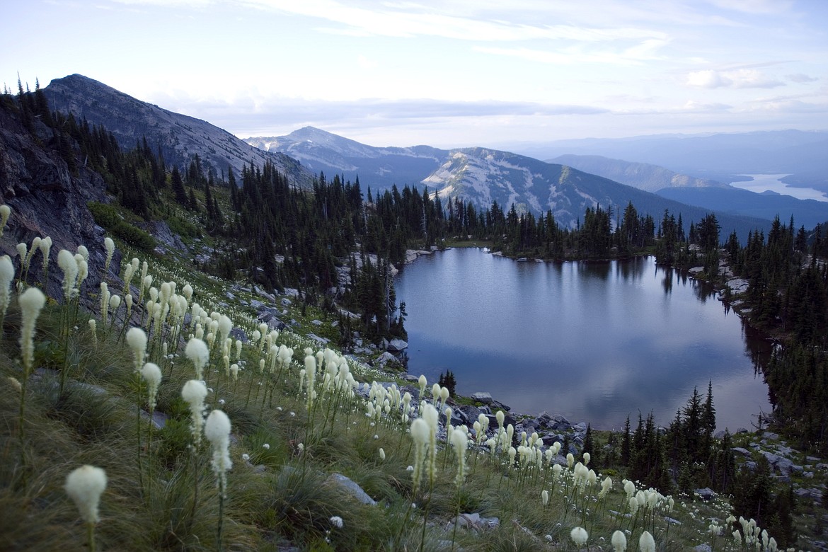 The pristine wilderness terrain around the site of the proposed Rock Creek Mine drains directly into the watershed that connects the Clark Fork River with Lake Pend Oreille. (Photo courtesy Woods Wheatcroft)