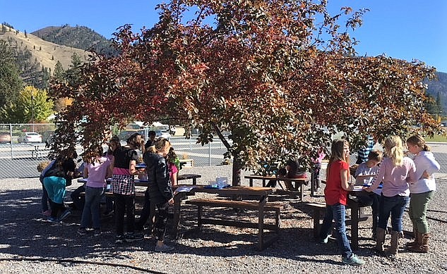 Superior afterschool students had the opportunity to grow their own gardens and work in the outdoor classroom thanks to a 21st Century Learning Community Centers grant program which totals $108,000 per year for Alberton and Superior. (Photo by Dawn Bauer).