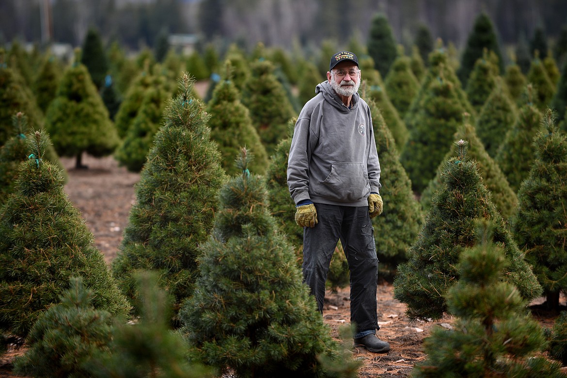 Don Schiltz on his tree farm near Bigfork on Thursday, Nov. 30. (Casey Kreider/Daily Inter Lake)