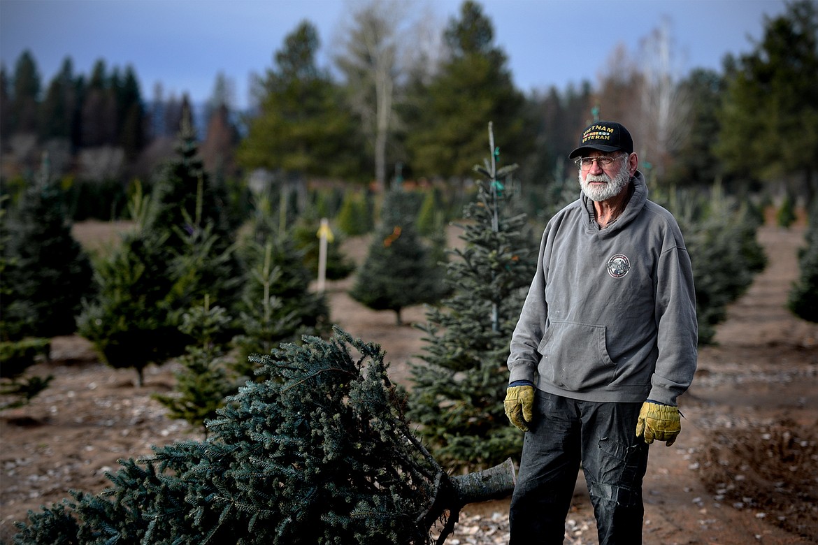 Don Schiltz on his tree farm near Bigfork on Thursday, Nov. 30. (Casey Kreider/Daily Inter Lake)