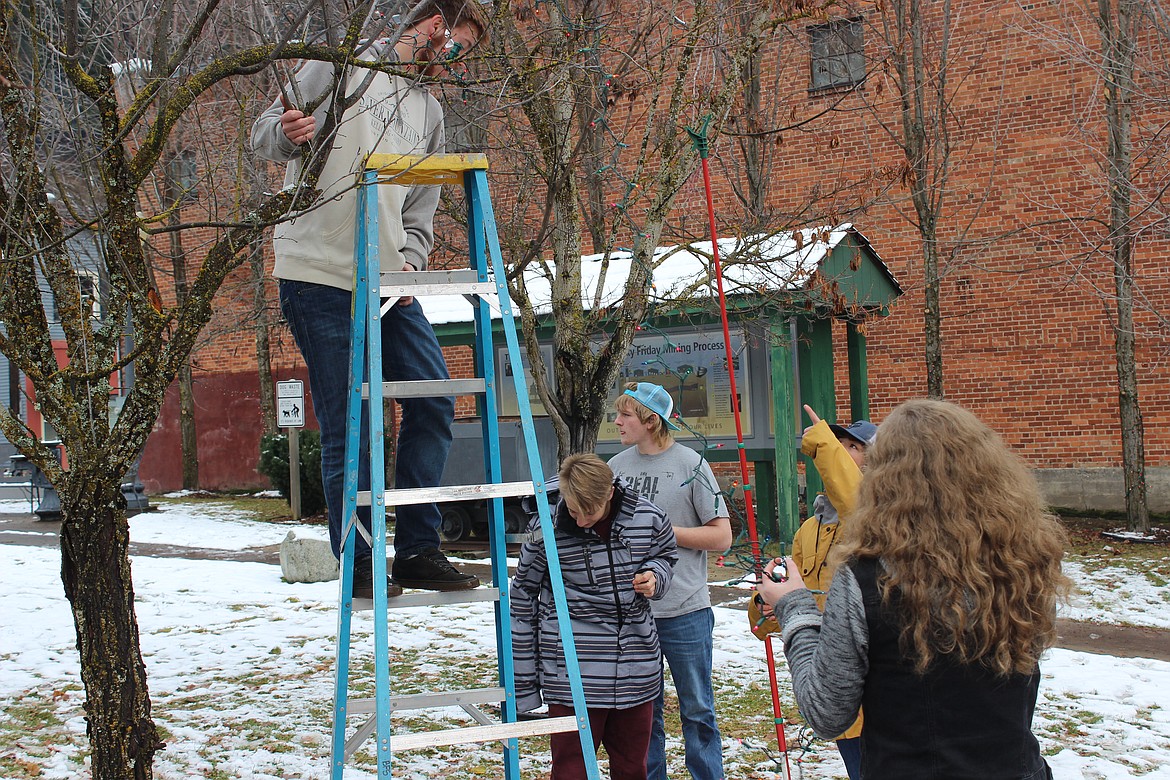 Gryphon Todd climbs a ladder to hang lights in a tree while Matthew Peite, Kash Truitt, Royal Barnes, and Emily Dykes supervise from the ground.