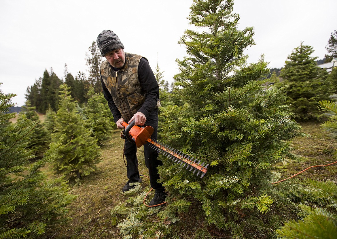 LOREN BENOIT/Press 
Dave Eubanks trims a Christmas tree Tuesday afternoon at Funny Farm off Clemetson Road outside of Coeur d&#146;Alene. Nearly 10 years after his heart transplant, the Eubanks&#146; 20-acre Funny Farm has Christmas trees, 12,000 square feet of raised garden beds and 250 fruit trees. The farm is open 10 a.m. to 4 p.m., Friday-Sunday.