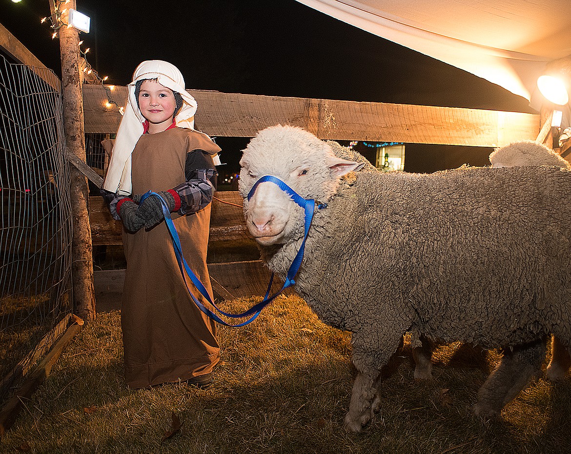 A youngster leads a sheep at the live nativity scene  at the Hungry Horse News put on by Farming for the Future Academy.