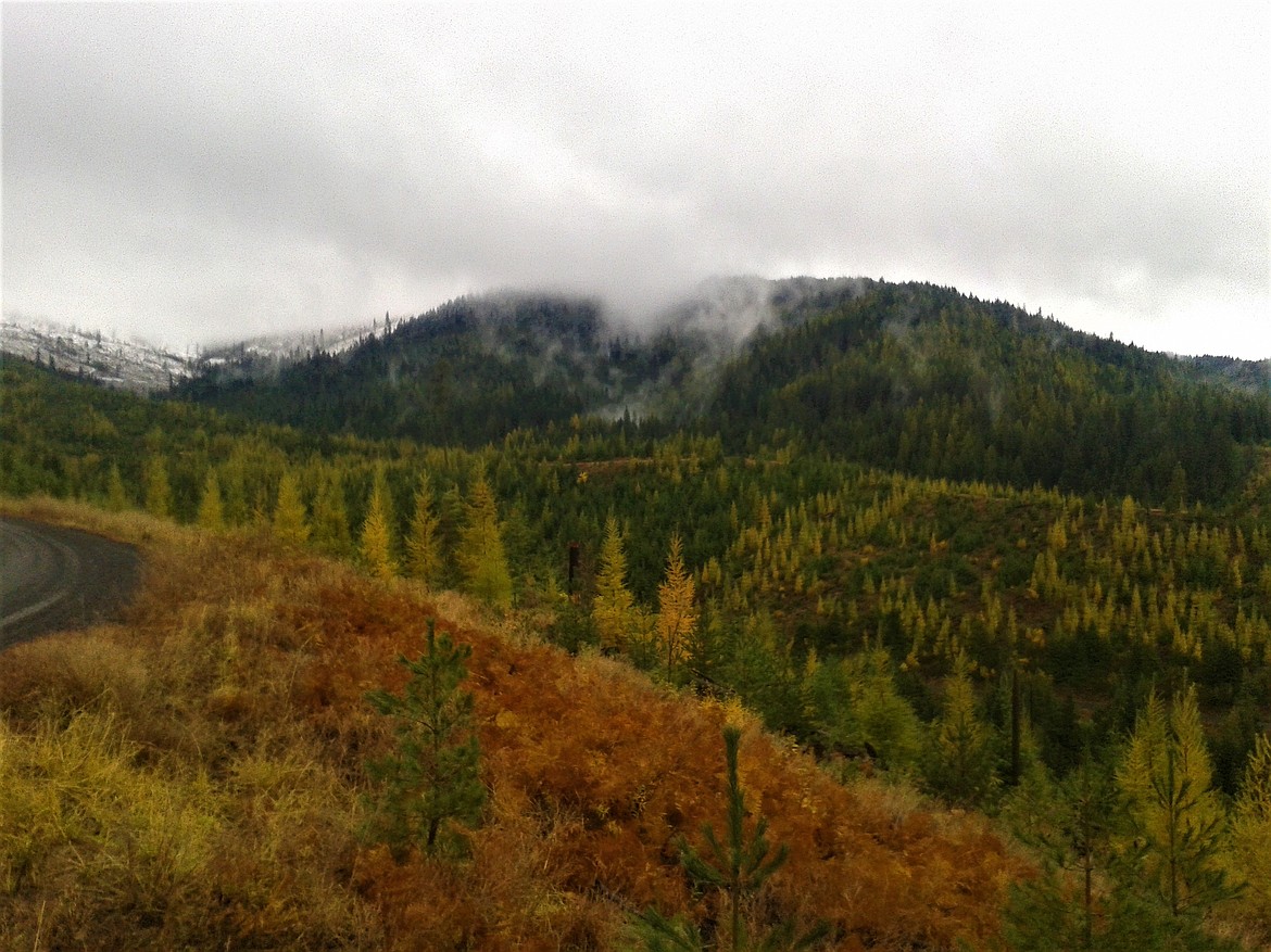 Winter setting into the mountains above Big Carpenter Creek, where staurolite, a mineral that forms unique shapes, is plentiful. (Photos by JASON WILMOTH)