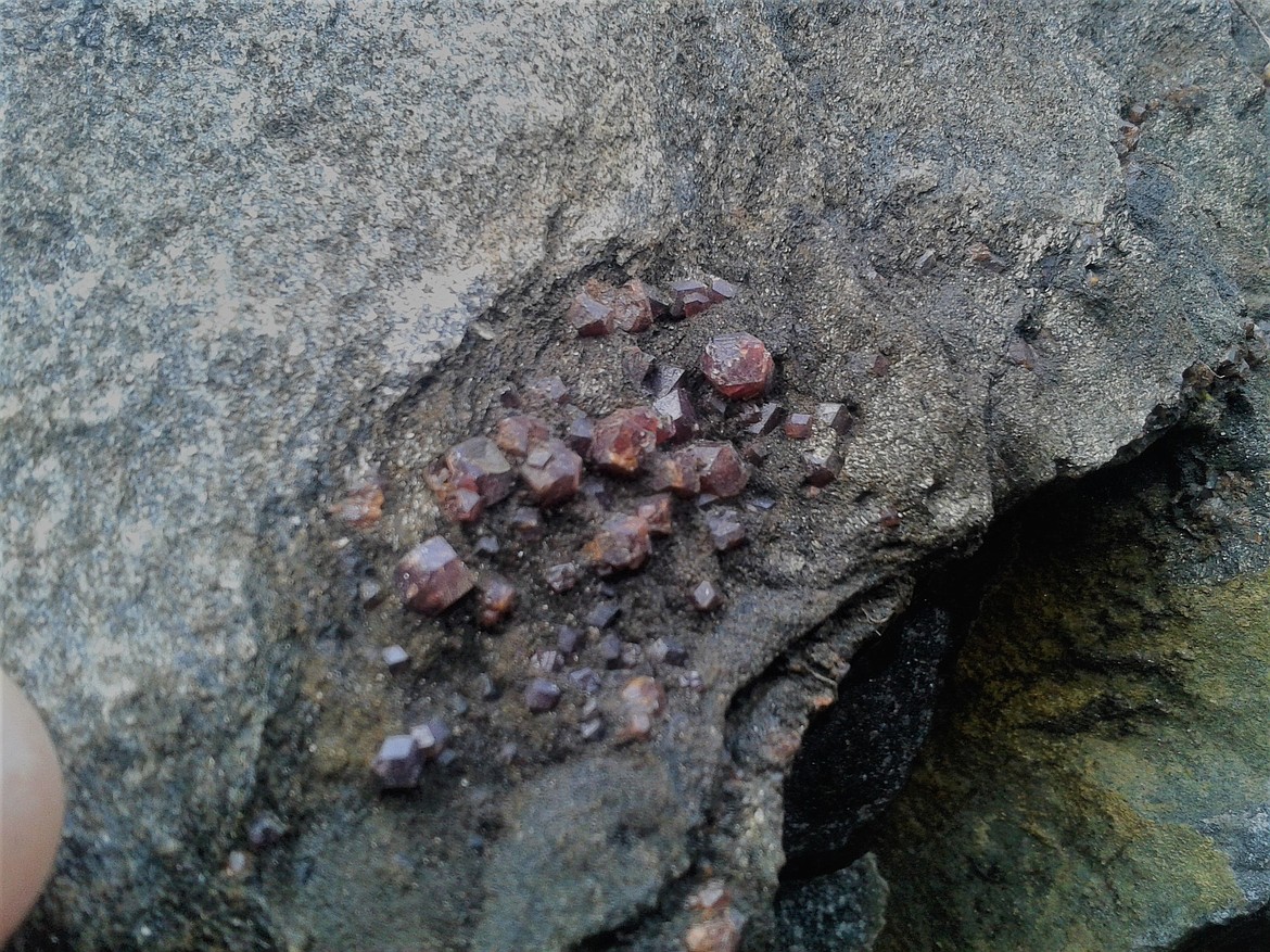 Garnets at a boulder at Big Carpenter Creek.