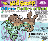 Kid Scoop 10-17