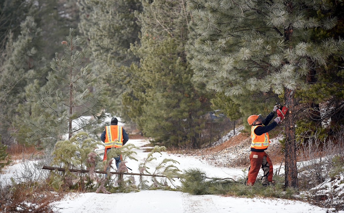 Jay Penrod and Dave Landstrom, right, of Fish, Wildlife and Parks, clear branches and trees encroaching on the public access lane to McGregor Lake on Friday. They were joined by volunteers from Flathead Wildlife, Inc.