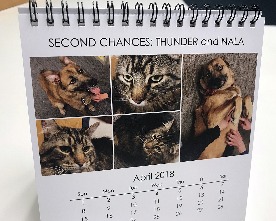 A desktop calendar designed by Stillwater Christian School eighth-graders Faith Blackaby and Jillian Wynne features stories and photos of rescue pets and their owners. The calendars are being sold to raise money for the Humane Society of Northwest Montana. (Hilary Matheson/The Daily Inter Lake)