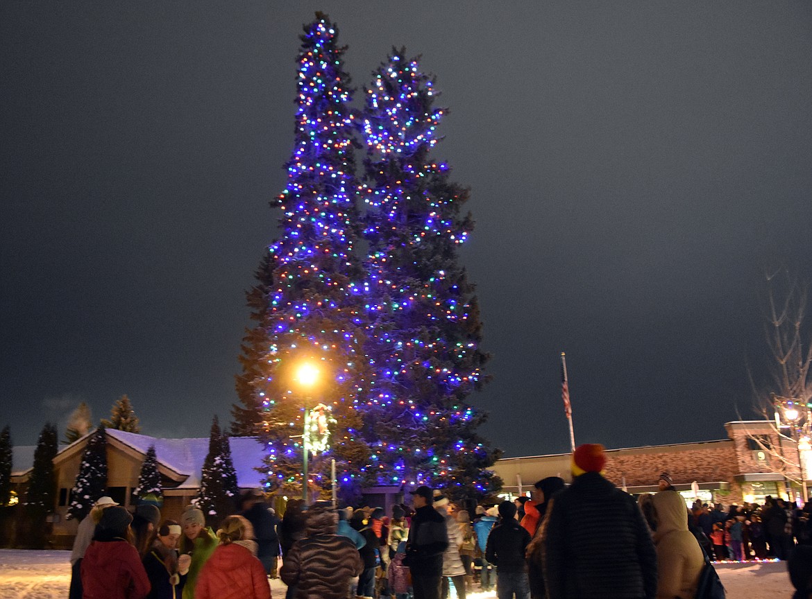 The Christmas trees in Depot Park were lit up during the Christmas Stroll Friday.