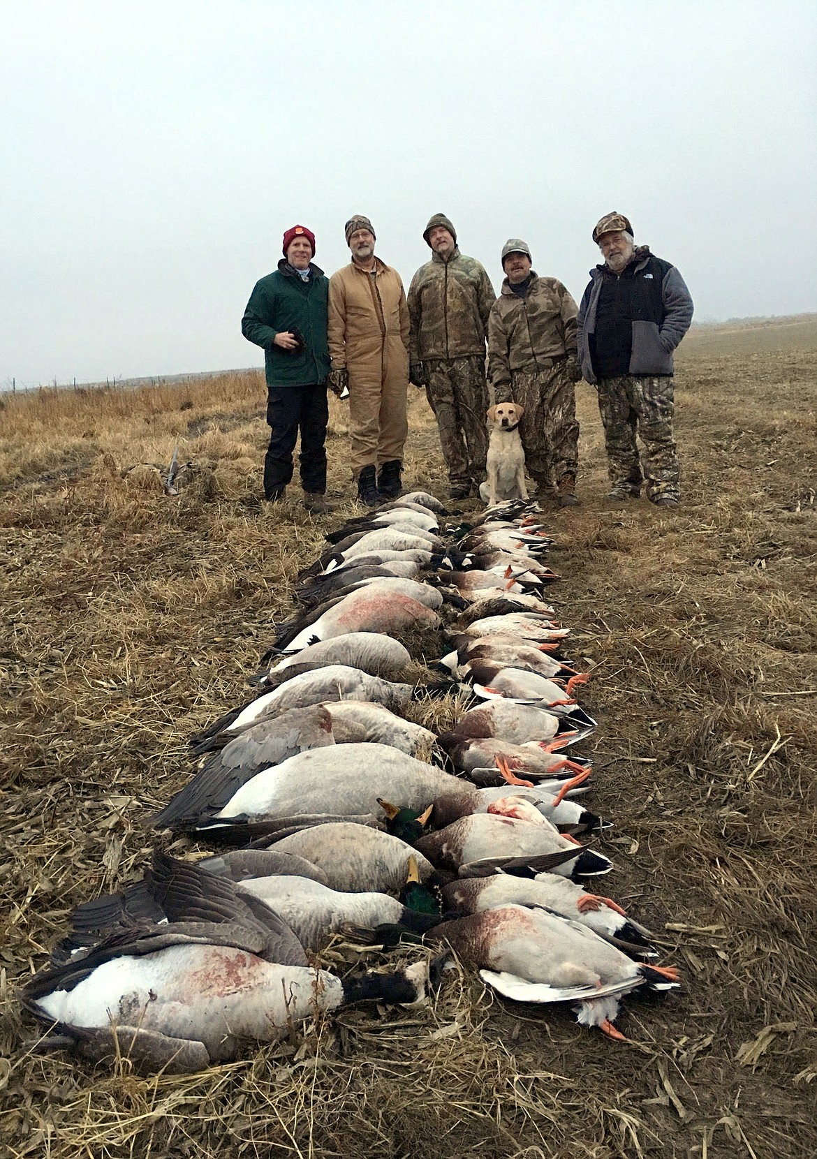 Pete Fisher photo - Bruce Kessler and party from Cheney with a limit of geese and a great bunch of mallards.