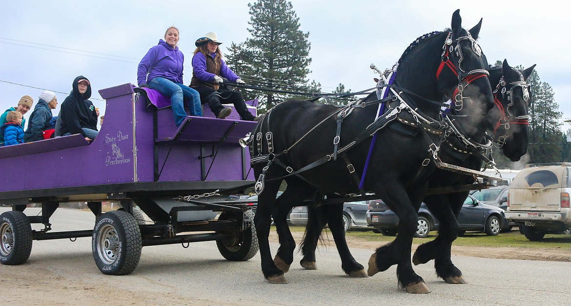 Photo by Mandi Bateman
Paula Sandelin of Star Dust Ranch, with her team of Percheron mares, gave wagon rides around the neighborhood.