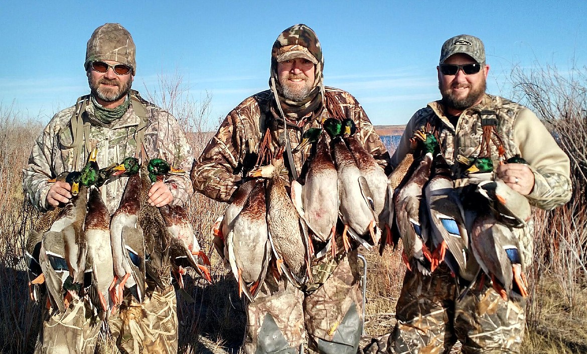 Pete Fisher photo - Jeffrey, Jason and Mark Engel from San Jose, Calif. limited two days in row hunting Greenheads on the Duck Taxi.