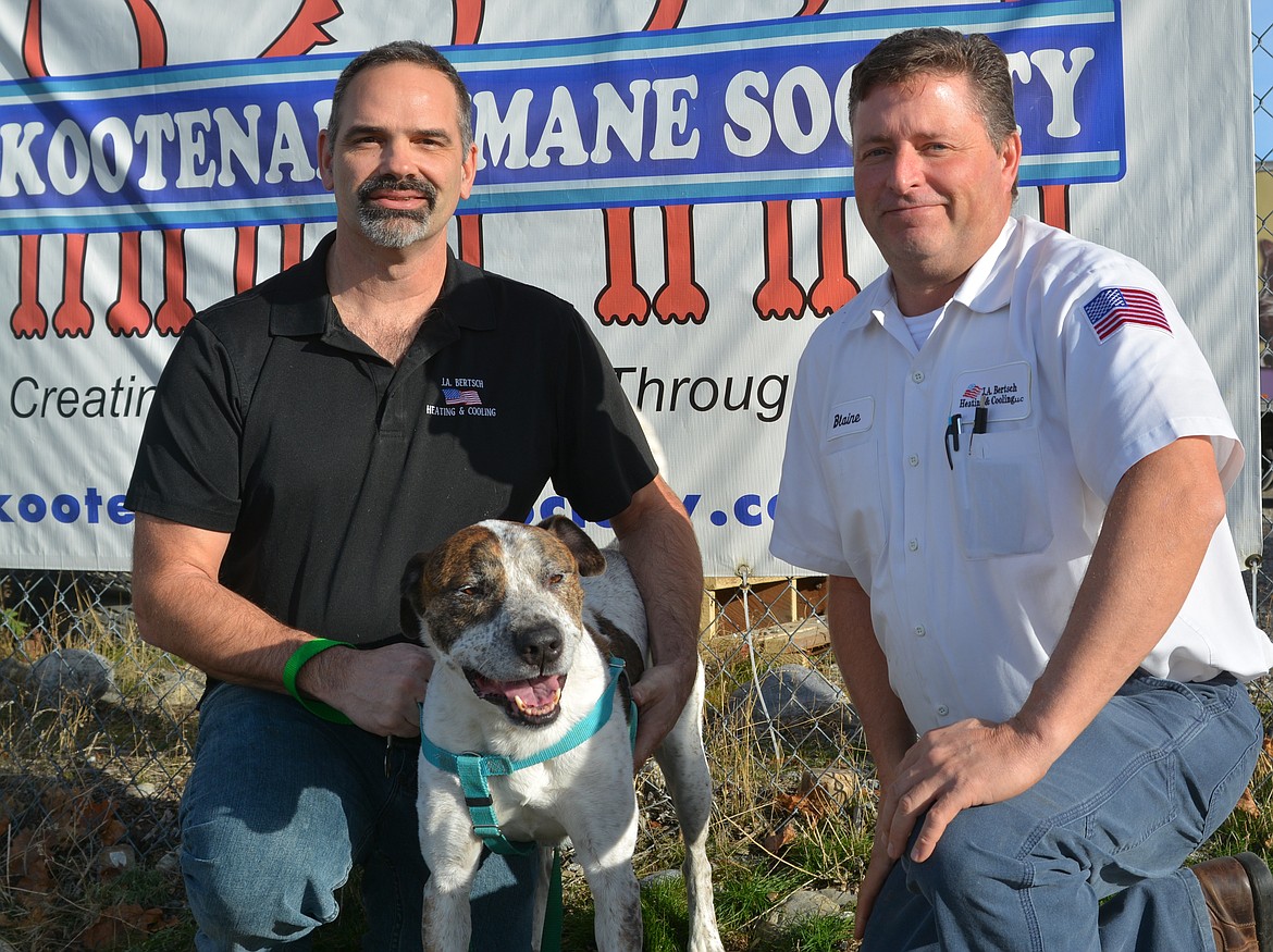 Joel Bertsch, right, owner of J.A. Bertsch Heating and Cooling, and employee Blaine Scholin pose with Kootenai Humane Society resident Buster, a 9-year-old Labrador retriever mix.

Courtesy photo