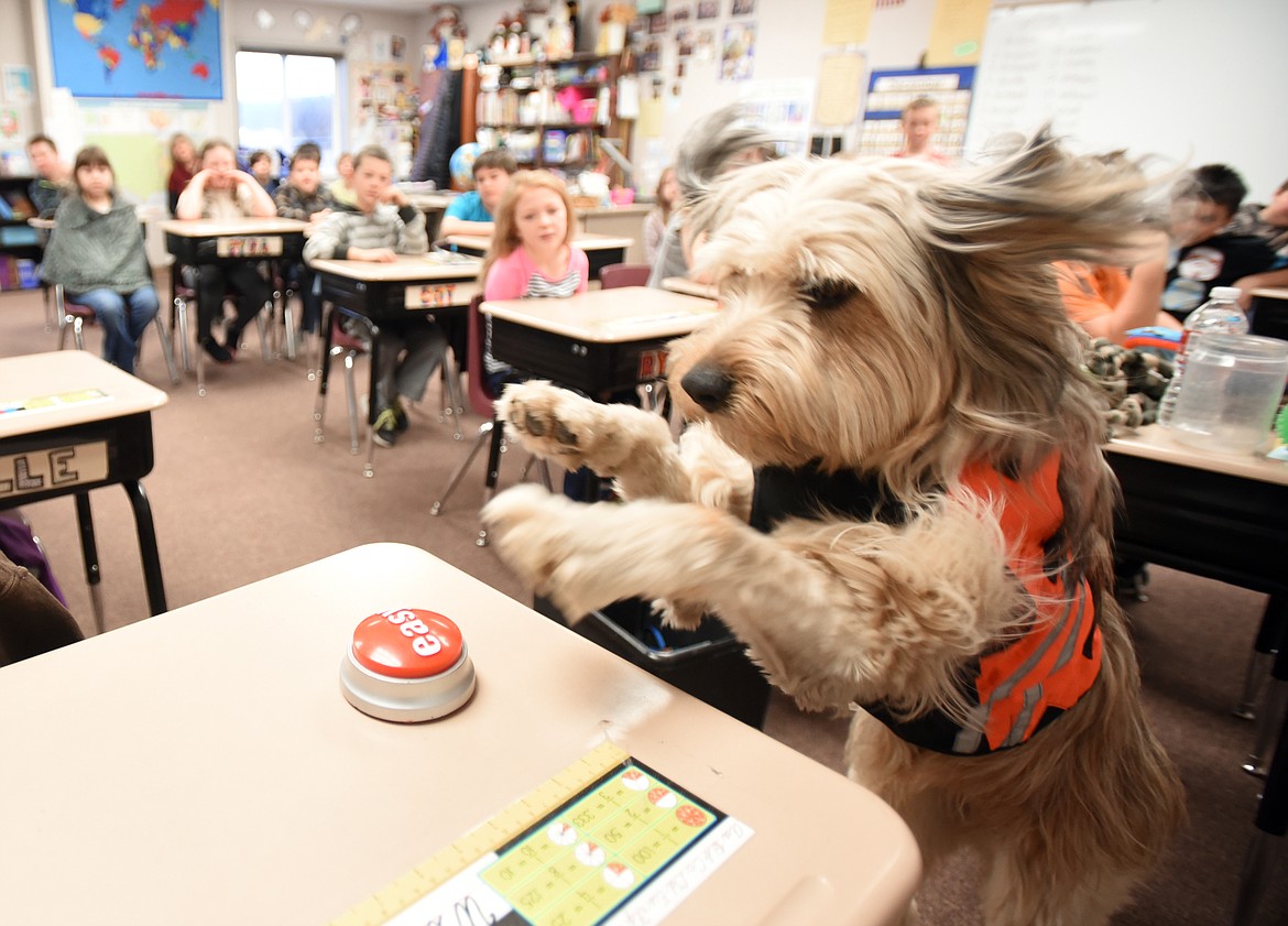 Schools utilize therapy dogs to enhance learning environment