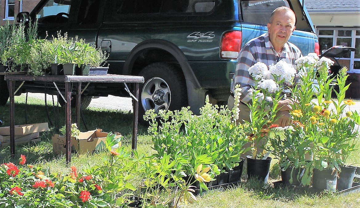 Farmers Markets Yield Big Community Reward, July 26: Milton Pierce, who owns greenhouses in St. Regis shows a variety of flowers and plants at the Superior Market on Saturday. (Kathleen Woodford/Mineral Independent).