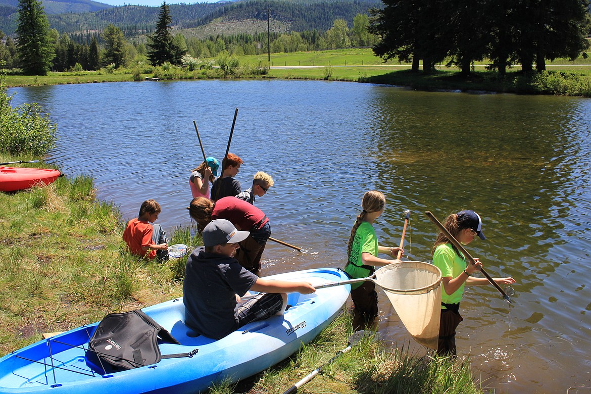 After Nearly 50 Years, Students Still Enjoy Outdoor School, May 31: Students gather samples for their Pond Ecology class during Outdoor School which was held this year from May 22-26 near Haugan, Montana. (Kathleen Woodford/Mineral Independent).