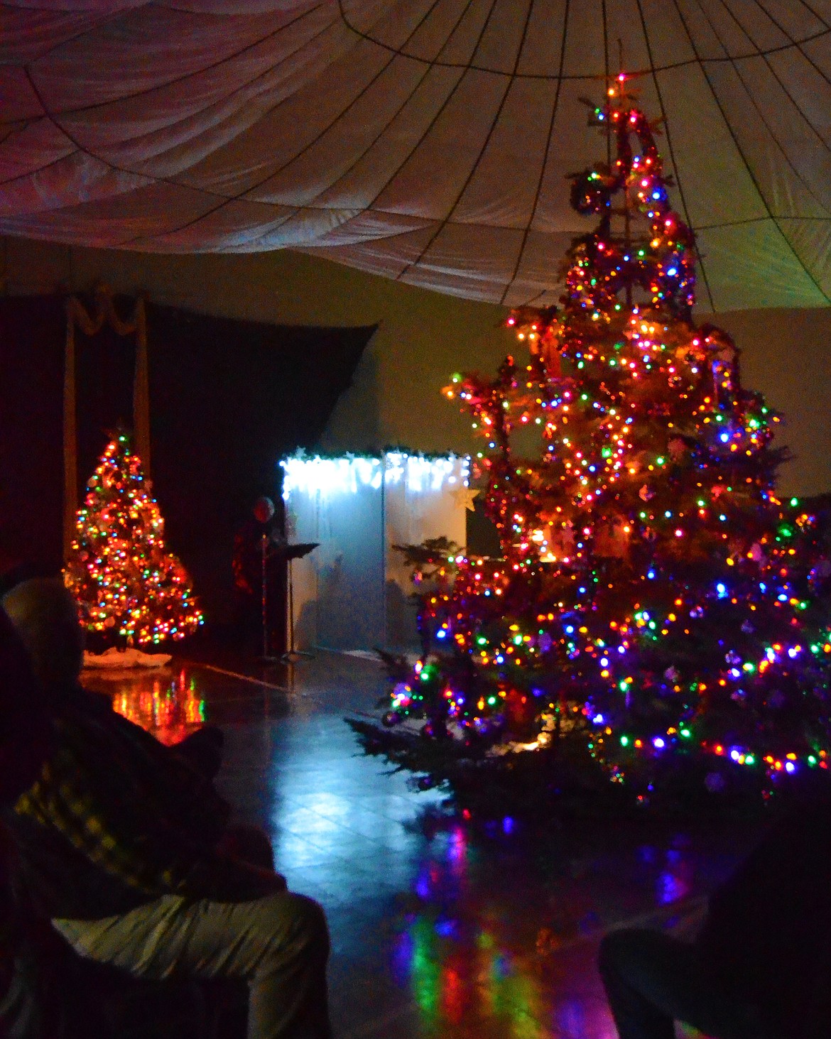 Everyone sat in silence taking in the tree and all it&#146;s beautiful lights (Erin Jusseaume/ Clark Fork Valley Press)