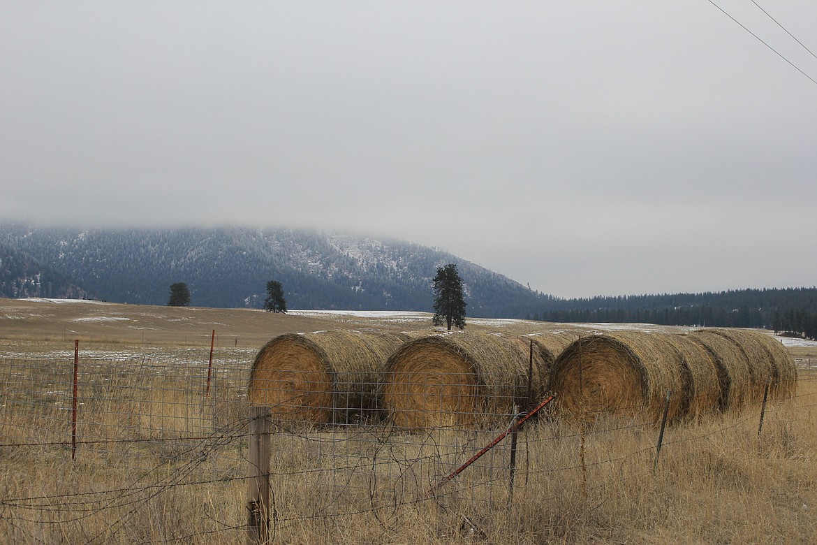 With the impending snow storm, weather reports indicate a white Christmas this year. (Kathleen Woodford/Mineral Independent)