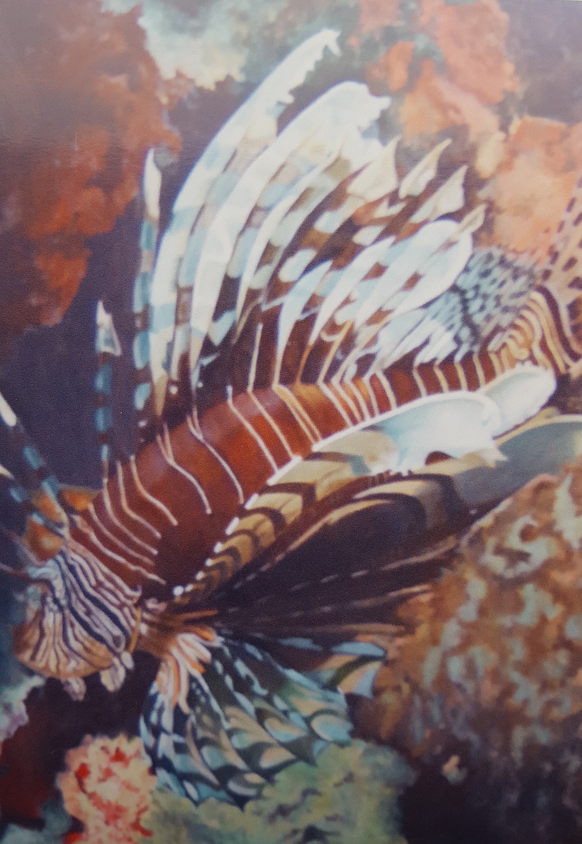 Courtesy Photo
A portion of the acrylic painting &#147;Lionfish&#148;, by
Boundary County Artist Association Treasurer Darrelyn Rose.