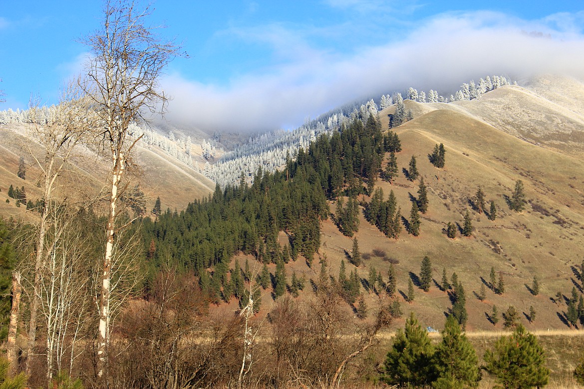 A recent winter-weather dry spell coated the region and now a winter storm watch has been called for this week. (Kathleen Woodford/Mineral Independent).