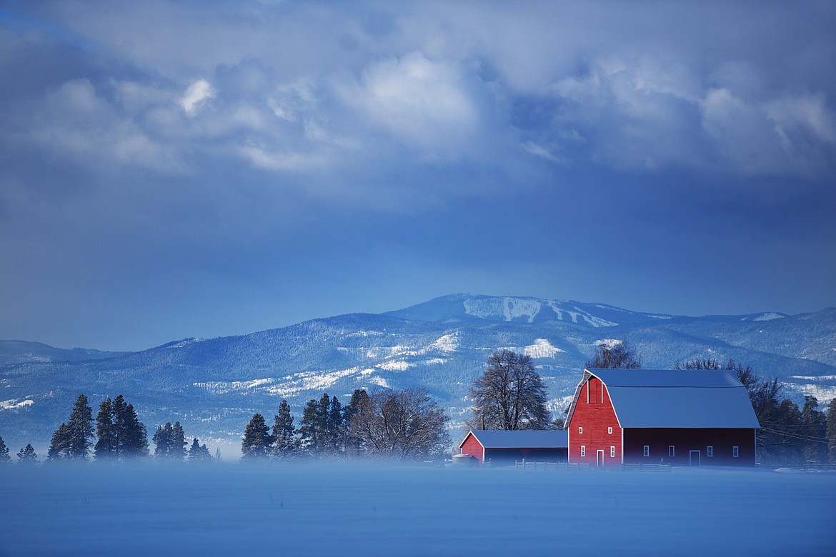 A snowy morning near Lake Blaine on Wednesday monring, March 8, east of Kalispell.(Brenda Ahearn/Daily Inter Lake)