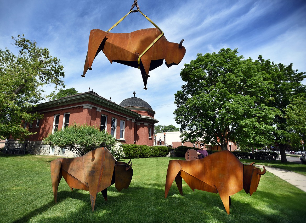 Spanish artist Manel &Agrave;lvarez helps with the installation of three recently completed iron bison sculptures on Tuesday afternoon, June 6 at the Hockaday Museum of Art. The opening reception for &Agrave;lvarez's show Step by Step will begin with an opening reception on Thursday, June 8 at 5 p.m. The show will be open until August 5.(Brenda Ahearn/Daily Inter Lake)