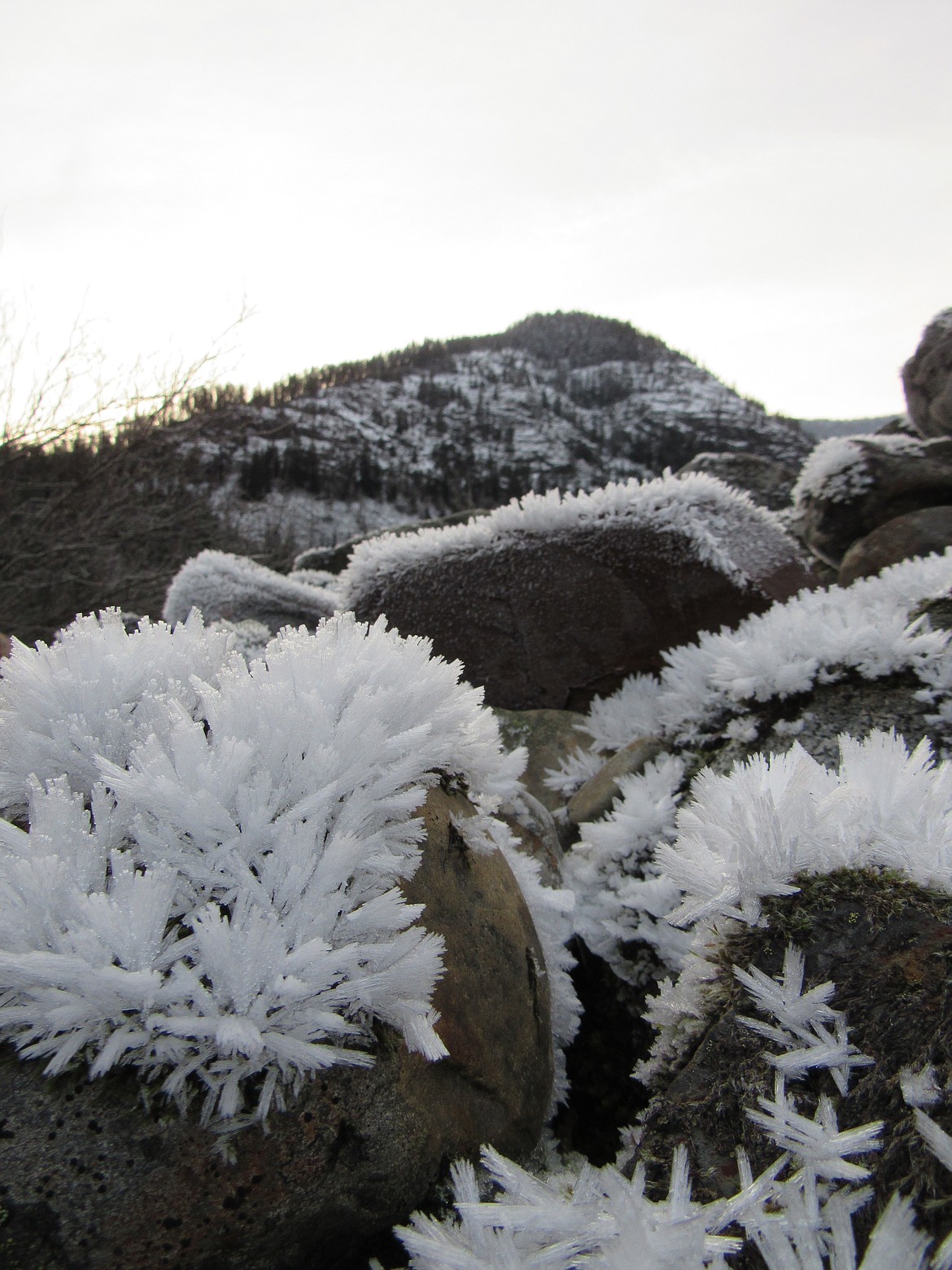 Ice crystals formed on boulders along Lightning Creek. (Photo by JASON WILMOTH)