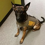 K-9 deputy receives body armor