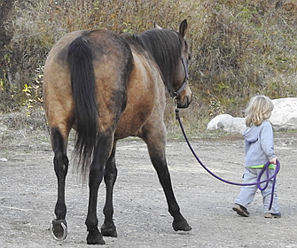 Photo by Shina Morris
Weilha Kelly leading her steed.