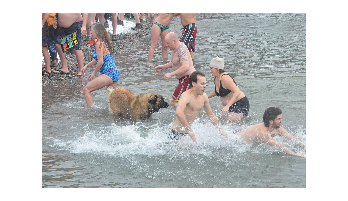 LOCAL RESIDENTS dive into the Flathead River during the annual Polar Plunge Monday afternoon at The Raven bar in Bigfork. (Jason Blasco/Lake County Leader)