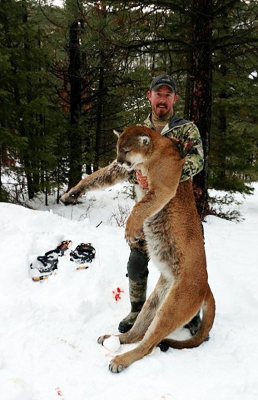 Trevor St. Germain with a mountain lion he shot near Marion. (Photo courtesy of Darrell Primmer)