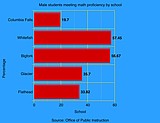 Death of a classmate likely hurt test scores, school says