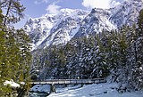 Plenty of winter walks on tap this month