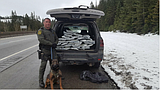 Pot bust nets more than 30 pounds