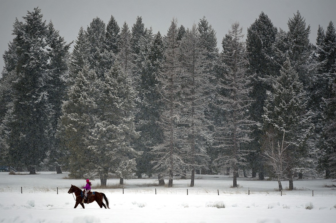 A rider takes her horse for a walk off-course at Whitefish Skijoring at Big Mountain Ranch on Saturday. (Casey Kreider/Daily Inter Lake)