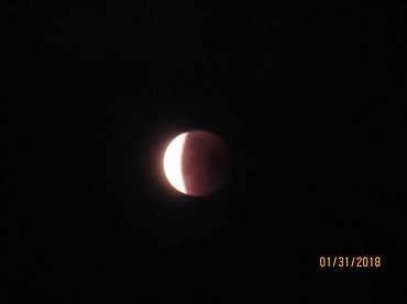Linda Coppom of Hayden snapped this photo of the "super blue blood moon" in her neighbor's yard this morning. She says she took a walk looking for the moon -- and she found it. The cosmic event hasn't been visible in the western hemisphere for 152 years.