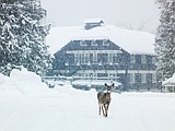 The week in Glacier Park photos