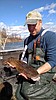 IDFG plans public meetings to set rules, establish fishery goals for region