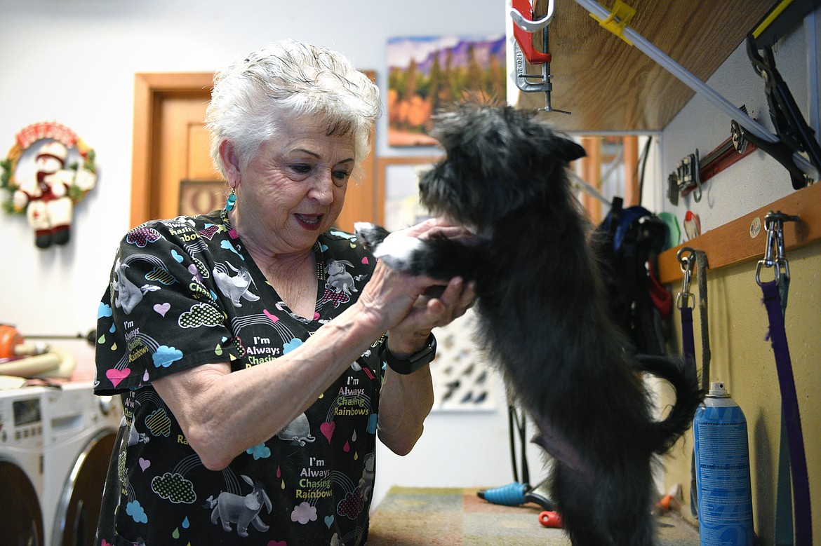 Judy Johnson, owner of Judy's All Breed Dog Grooming, grooms Oreo, a client's dog, at her shop in Martin City on Wednesday, Jan. 24. (Casey Kreider/Daily Inter Lake)