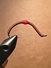 Tying the wireworm