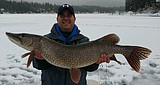 The pike bite ain't flaggin' at Hayden Lake's north end