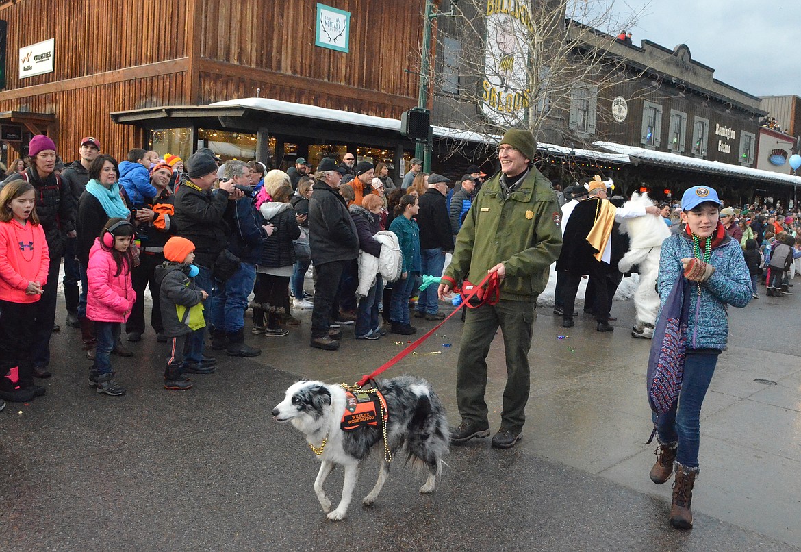 Gracie the &quot;Bark Ranger&quot; from Glacier National Park and her handler park ranger Mark Biel make their way down Central Avenue. (Heidi Desch/Whitefish Pilot)