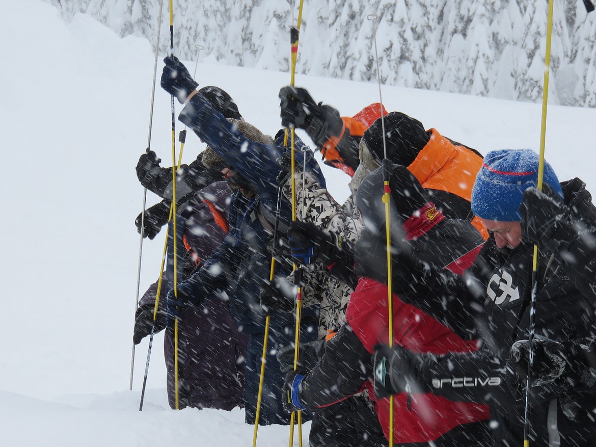 Participants form a probe line to search the snow for a simulated survivor.