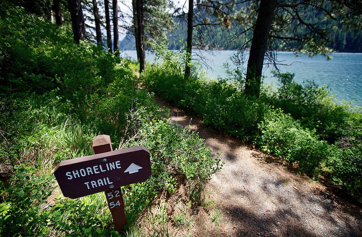 JEROME A. POLLOS/Press file
A trail at Farragut State Park. Visitors to the park near Bayview contributed more than $12 million to the local economy in 2016.