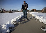 Protect your pooch