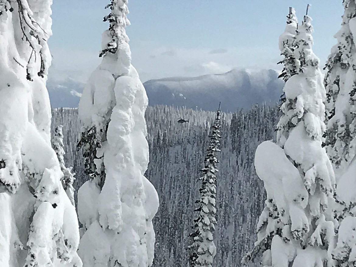 The Two Bear Air search and rescue helicopter searches for a missing skier in the backcountry near Whitefish Mountain Resort on Monday afternoon. (Peregrine Frissell/Daily Inter Lake)