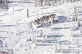 Sperry chalet still standing